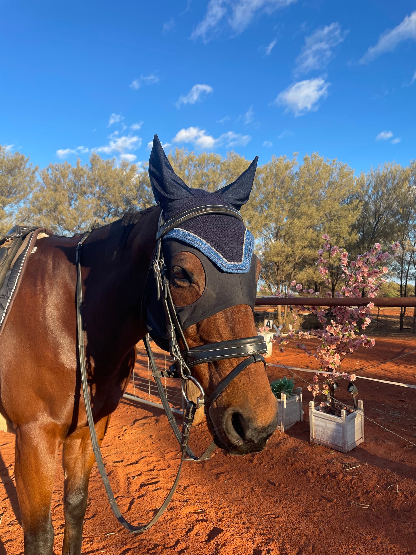 Blue navy ocean horse bonnet